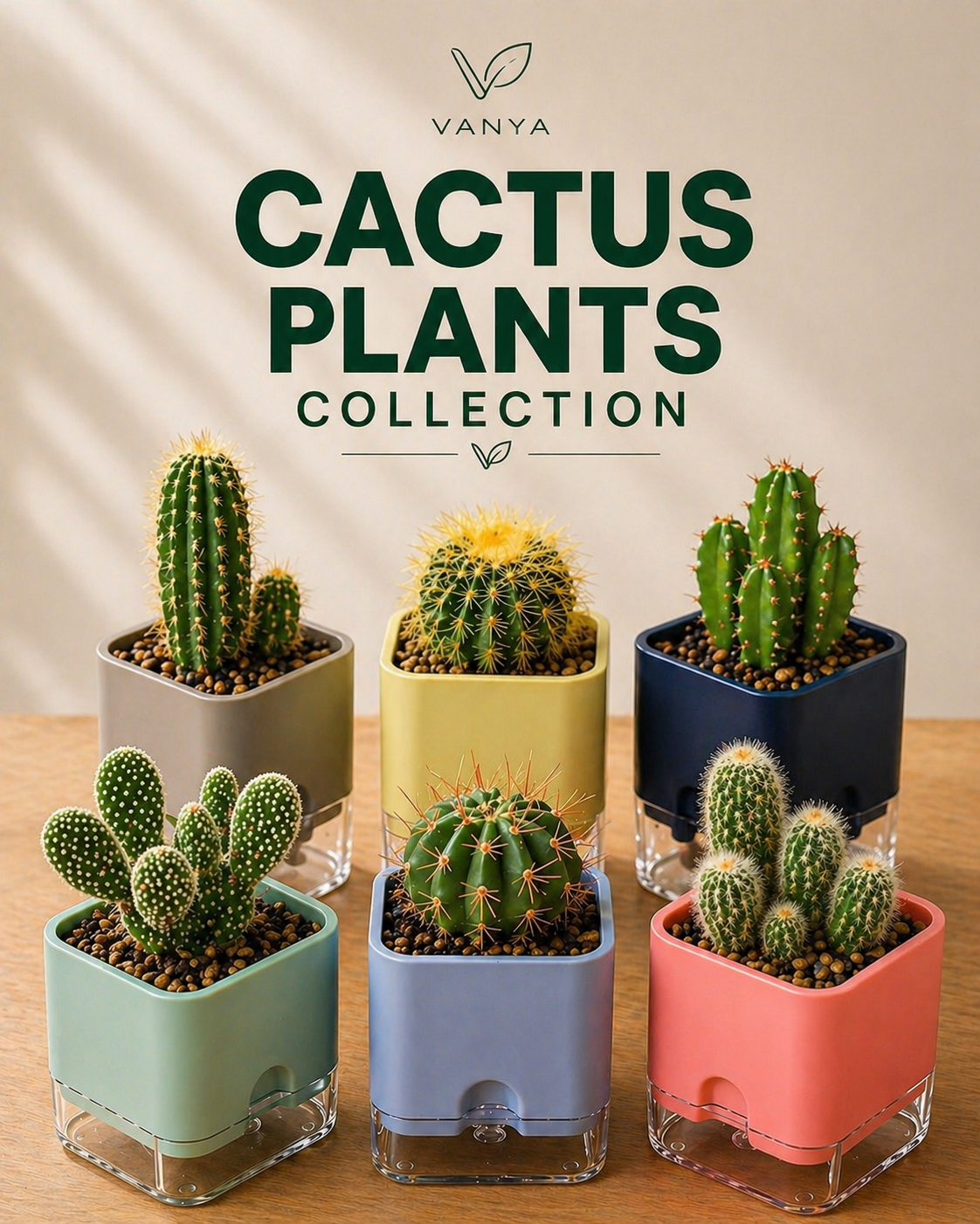 Cactus